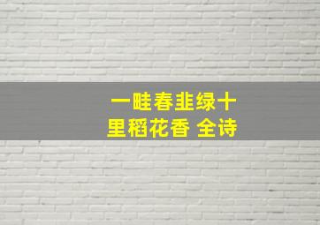 一畦春韭绿十里稻花香 全诗